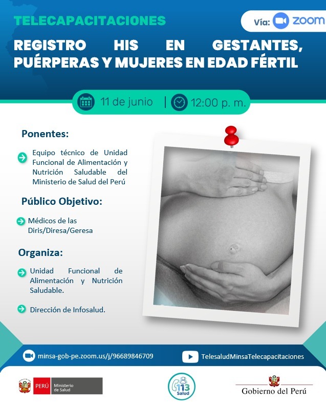REGISTRO HIS EN GESTANTES, PUÉRPERAS Y MUJERES EN EDAD FÉRTIL